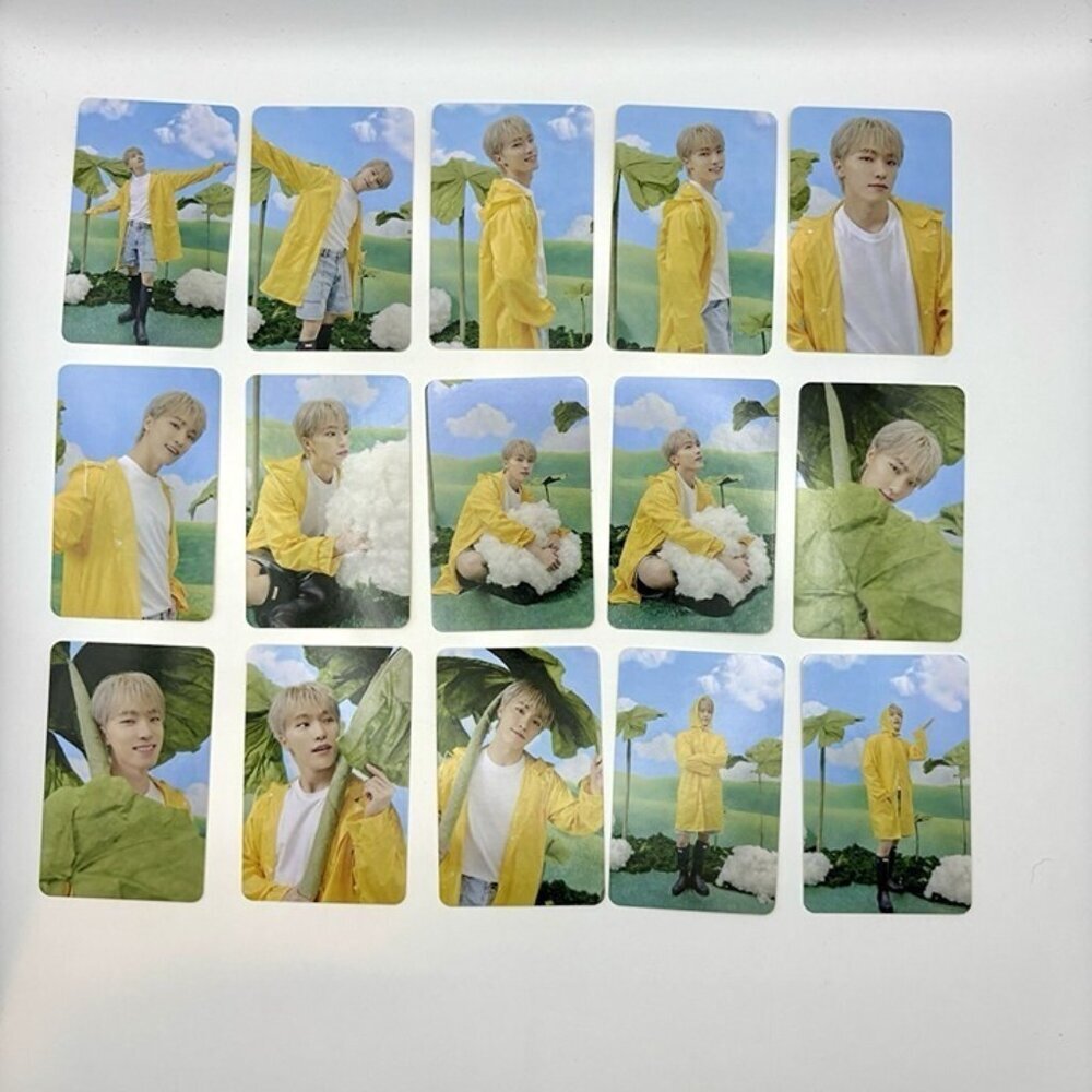 Seventeen Dino Seventeenth Heaven Carat 24 Photocards Photocard Set